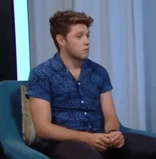 🎸 7db27cdd Niall Horan ca sĩ, nhạc sĩ, One Direction, Niall Horan, người, đàn ông telegram sticker