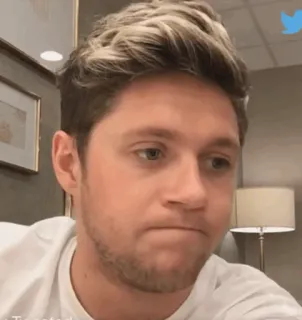 🎸 81b92425 Niall Horan người nổi tiếng, đàn ông, nhạc sĩ, ca sĩ, niall horan, one direction telegram sticker