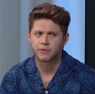 🎸 84966e01 Niall Horan Niall Horan, ca sĩ, người nổi tiếng, One Direction telegram sticker