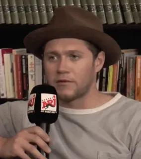 🎸 dae03e46 Niall Horan ca sĩ, người nổi tiếng, micrô, phỏng vấn, mũ, chân dung telegram sticker