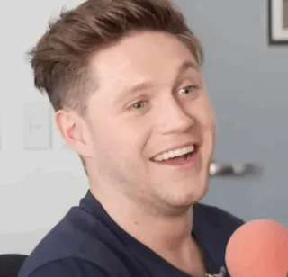 🎸 dd82c2af Niall Horan Niall Horan, ca sĩ, người nổi tiếng, chân dung telegram sticker