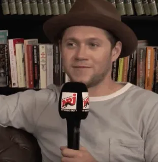 🎸 e23a98b5 Niall Horan Niall Horan, ca sĩ, người nổi tiếng, nhạc sĩ, người telegram sticker