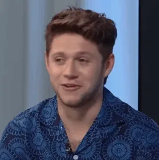🎸 fe8b36fb Niall Horan ca sĩ, người nổi tiếng, người, nhạc sĩ, nam telegram sticker