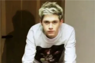 💫 5639f4ea Niall Horan Orang, Selebriti, Pria, Niall Horan, One Direction whatsapp sticker