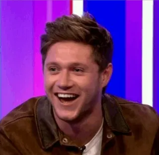 💫 9497389e Niall Horan selebriti, penyanyi, bintang pop, musisi whatsapp sticker