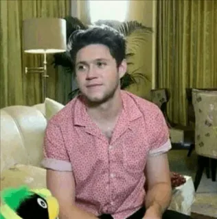 💫 f1aac59c Niall Horan Niall Horan, selebriti, One Direction, penyanyi, wawancara whatsapp sticker
