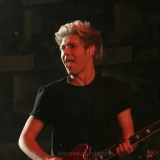 ✨ 13de633c Niall Horan blessniallslumblr.com música, músico, guitarra, cantante, celebridad, retrato whatsapp sticker