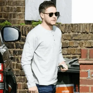 ✨ 155a3ad8 Niall Horan celebridad, cantante, hombre, Niall Horan, persona whatsapp sticker