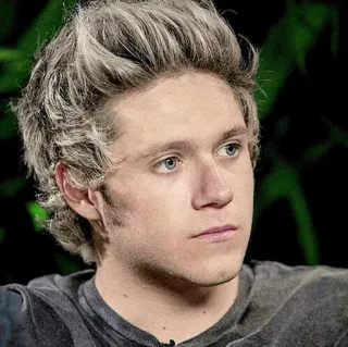 ✨ 290684c4 Niall Horan Niall Horan, cantante, One Direction, estrella pop, celebridad whatsapp sticker