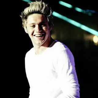 ✨ 36422dbe Niall Horan cantante, celebridad, músico, One Direction, sonriendo, retrato whatsapp sticker