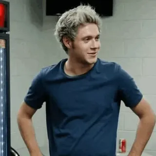 ✨ 4b107b49 Niall Horan Niall Horan, One Direction, cantante, celebridad whatsapp sticker