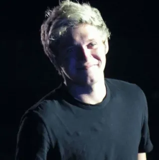 ✨ 7041578f Niall Horan persona, músico, cantante, celebridad, One Direction, Niall Horan whatsapp sticker