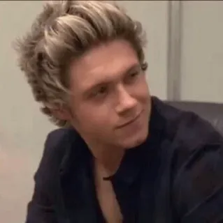 ✨ 86589e1a Niall Horan persona, celebridad, músico, cantante, hombre whatsapp sticker