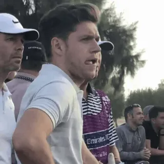 ✨ 8747734d Niall Horan cantante, celebridad, persona, One Direction, golf whatsapp sticker