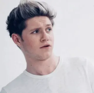 ✨ 9635e314 Niall Horan niall horan, cantante, one direction, celebridad, música whatsapp sticker