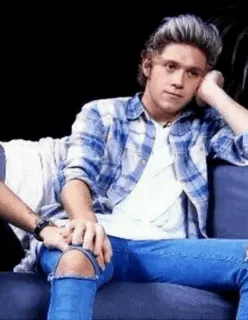 ✨ 9a34905b Niall Horan celebridad, cantante, one direction, niall horan, retrato whatsapp sticker