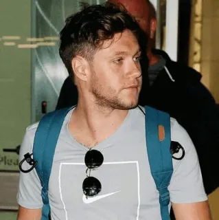 ✨ b97b9179 Niall Horan celebridad, música, cantante, one direction, músico, pop whatsapp sticker