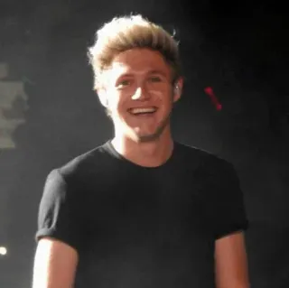 ✨ e064b7ff Niall Horan músico, cantante, celebridad, One Direction, Niall Horan whatsapp sticker