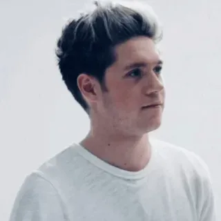 ✨ ecf925e8 Niall Horan Niall Horan, One Direction, cantante, retrato, celebridad, hombre whatsapp sticker