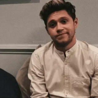 🌿 0f4e80a2 Niall Horan Niall Horan, One Direction, chanteur, célébrité telegram sticker