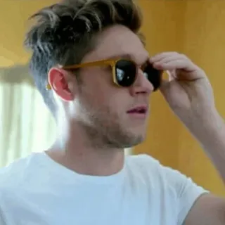 🌿 44ff2ebc Niall Horan lunettes de soleil, portrait, homme, célébrité, personne, artiste musical telegram sticker