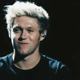 🌿 5558571e Niall Horan Niall Horan, One Direction, chanteur, célébrité, portrait telegram sticker
