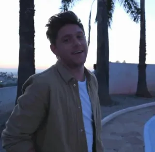 🍕 de87dacc Niall Horan personne, chanteur, one direction, célébrité, niall horan telegram sticker