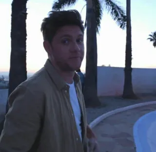 🍕 dfcae1b6 Niall Horan célébrité, chanteur, musicien, portrait telegram sticker