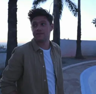 🍕 ef5a279a Niall Horan Niall Horan, chanteur, One Direction, célébrité, portrait telegram sticker