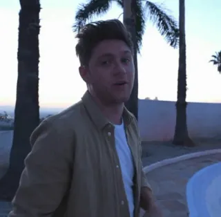 🍕 f6d7d753 Niall Horan célébrité, musicien, chanteur, portrait, one direction telegram sticker