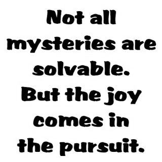 🤔 15791237 Not all mysteries are solvable. But the joy comes in the pursuit. Mistério, Perseguição, Alegria, Citação, Solucionável, Inspiração telegram sticker