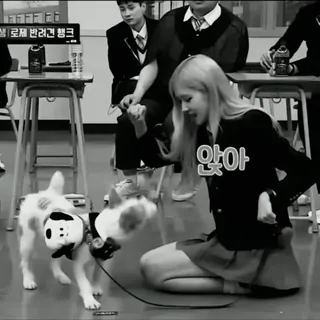 👒 6dad0869 앉아 สุนัข, ผู้หญิง, ชุดนักเรียน, เกาหลี, สัตว์เลี้ยง whatsapp sticker