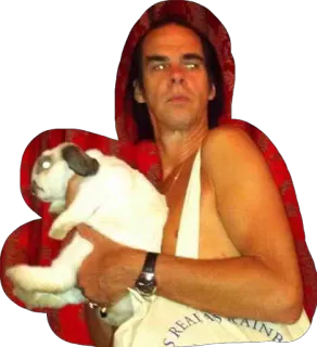 🐰 98b5a364 AS REAL AS RAIN hombre, chinchilla, mascota, animal telegram sticker