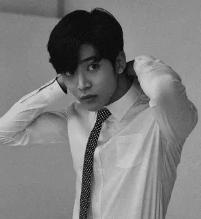 ⛓ 564f4f9b hombre, corbata, camisa, blanco y negro, retrato, formal, serio, adulto telegram sticker