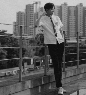 🗞 bdca2a50 telegram sticker