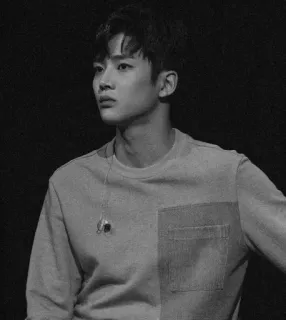 ⛓ f9b95287 hombre, retrato, coreano, actor, cantante, artista, blanco y negro telegram sticker