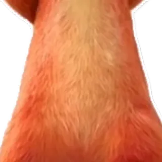 🍔 81b2f2b9 telegram sticker