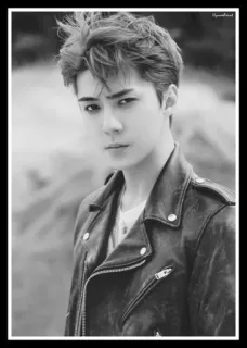 ⛓ 00b27d8e homme, portrait, noir et blanc, blouson cuir, beau, personne telegram sticker