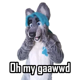 😲 24944c96 Oh my gaawwd เฟอร์รี่, ชุด, เซอร์ไพรส์, สีหน้า, หมาป่า, ตกใจ, กระตือรือร้น telegram sticker