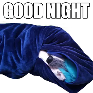😴 457a7a32 GOOD NIGHT ราตรีสวัสดิ์, นอนหลับ, สัตว์, อบอุ่น, ผ้าห่ม telegram sticker