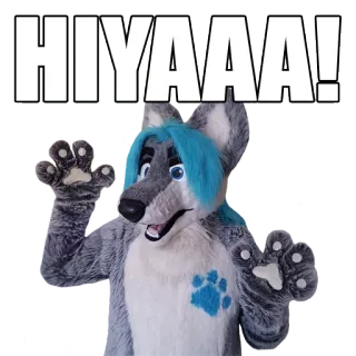 👋 d686e0e6 HIYAAA! เฟอร์รี่, สัตว์, หมาป่า, ทักทาย, สวัสดี, โบกมือ, แอนโทร, ชุด telegram sticker