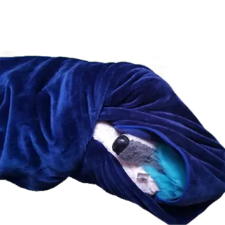 😴 d6edaff8 telegram sticker