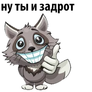 😒 41c03855 Ну ты и задрот procione, cartone animato, animale, pollice in su, offensivo telegram sticker