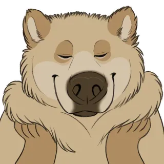 😌 010523ab 熊, 动物, 卡通, 可爱, 插图, 哺乳动物 whatsapp sticker