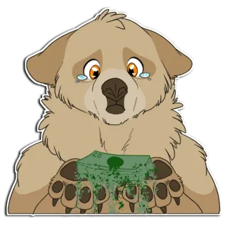 💸 20d25298 狗, 钱, 伤心, 哭, 卡通, 熊 whatsapp sticker