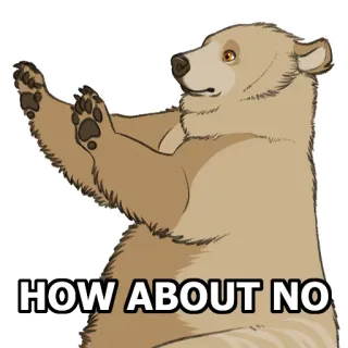 😟 3220bd71 HOW ABOUT NO 熊, 不, 搞笑, 梗, 拒绝, 卡通, 动物 whatsapp sticker