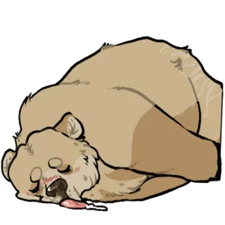 💭 380b5dd9 熊, 睡觉, 动物, 可爱, 卡通 whatsapp sticker