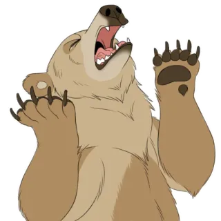 😖 5f02688c 熊, 动物, 哺乳动物, 卡通, 插图 whatsapp sticker