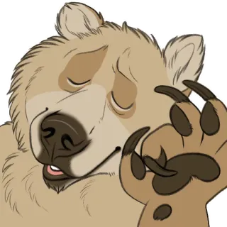 👌 70cb8a38 熊, 动物, 卡通, 手势, 爪子 whatsapp sticker