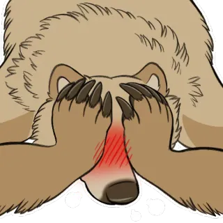 😳 8b99823b 熊, 尴尬, 捂脸, 卡通, 动物, 可爱 whatsapp sticker